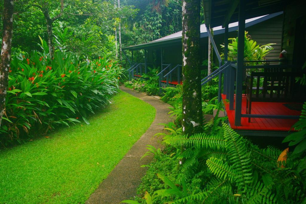 Heritage Lodge In The Daintree Cape Tribulation Exterior foto