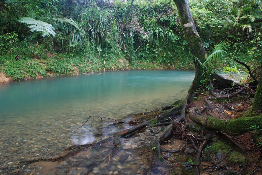 Heritage Lodge In The Daintree Cape Tribulation Exterior foto